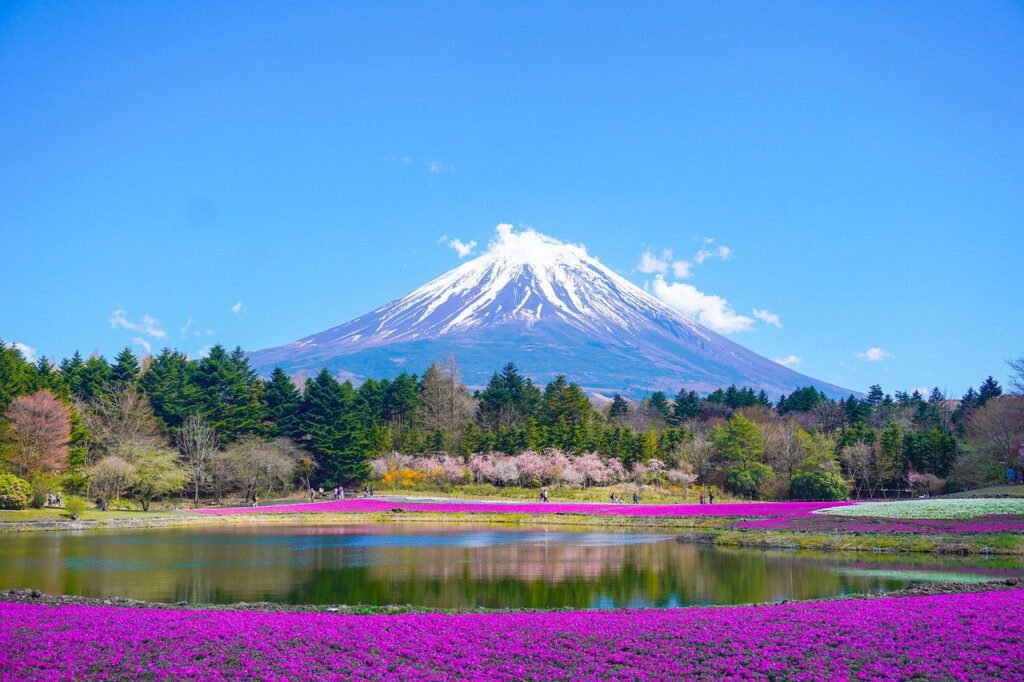 best 14 days japan itinerary. view of mount fuji with flowers.