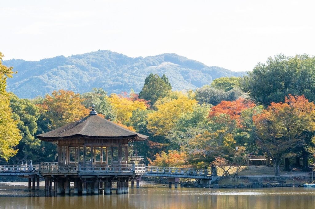 ultimate Nara day trip itinerary. Ukimido in Nara park